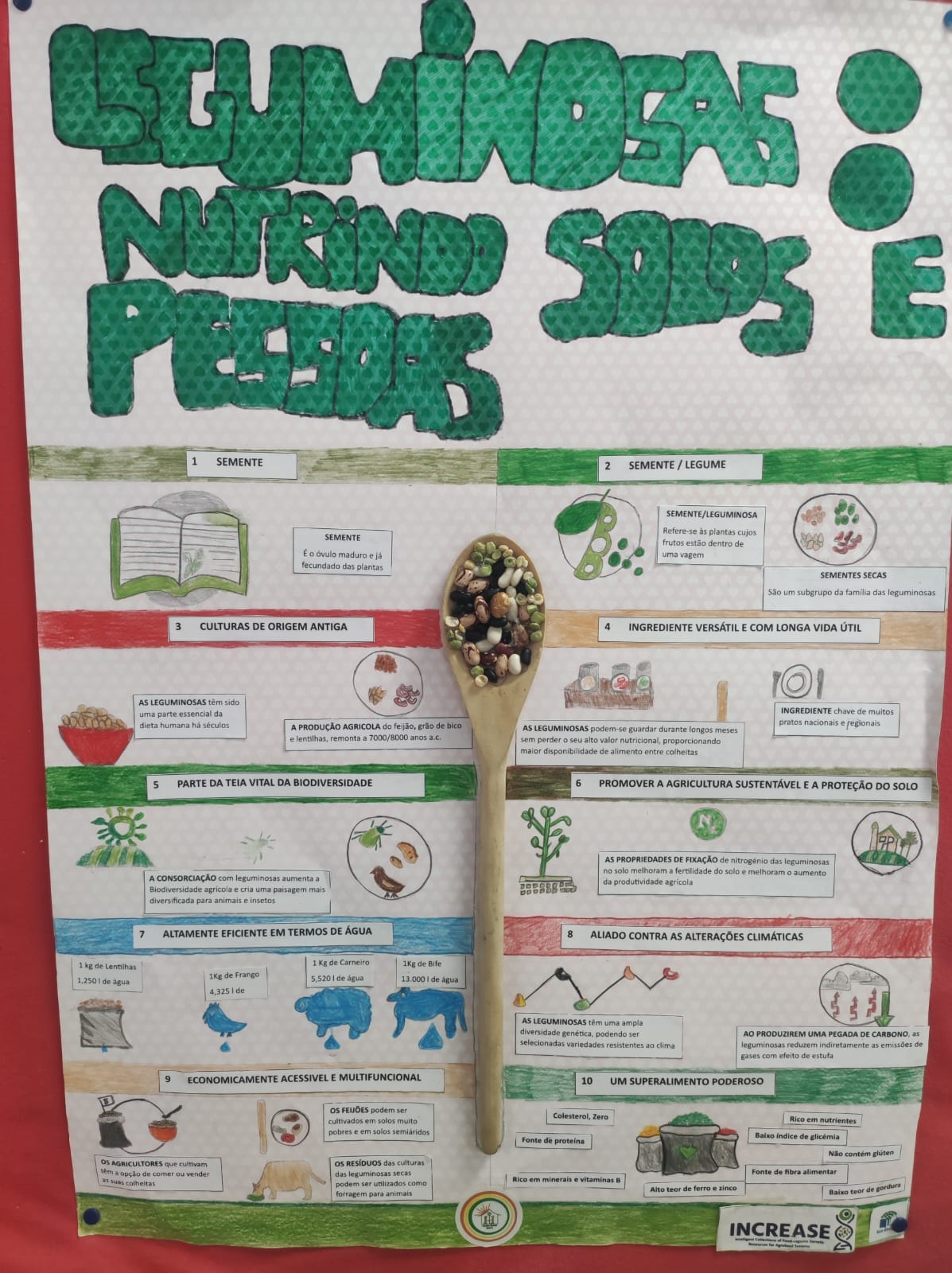 Feature School Portugal